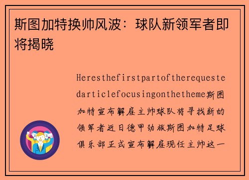 斯图加特换帅风波：球队新领军者即将揭晓