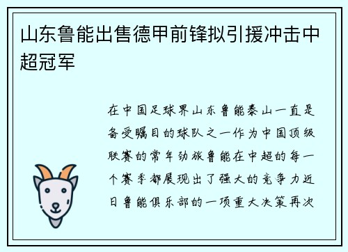 山东鲁能出售德甲前锋拟引援冲击中超冠军