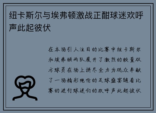 纽卡斯尔与埃弗顿激战正酣球迷欢呼声此起彼伏